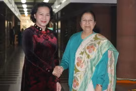 Chủ tịch Quốc hội Nguyễn Thị Kim Ngân và Chủ tịch Quốc hội Ấn Độ Sumitra Mahajan trước khi hội đàm. (Ảnh: Trọng Đức/TTXVN)