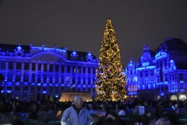 Cây thông Noel trên Quảng trường lớn của Brussels. (Ảnh : Kim Chung/TTXVN) 