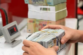 Giao dịch ngoại tệ tại Ngân hàng HDBank chi nhánh Hà Nội. (Ảnh: Trần Việt/TTXVN)