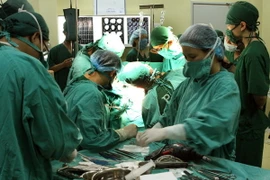 Ảnh chỉ có tính minh họa. (Ảnh: Dương Ngọc/TTXVN)