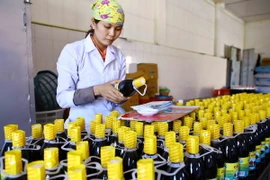 Sản xuất nước mắm đóng chai tại Công ty Cổ phần Thủy sản Cái Rồng. (Ảnh: Minh Quyết/TTXVN)