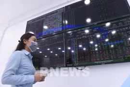 Ảnh minh họa. (Nguồn: Bnews/TTXVN)