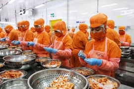 Tham gia vào RCEP, Việt Nam hướng nhiều hơn đến tác động ‘tạo thương mại.’ (Ảnh minh họa/TTXVN)