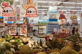 (Ảnh minh họa/Vietnam+)