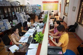 Ảnh minh họa. (Nguồn: TTXVN)