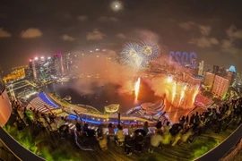 [Photo] Nhiều nước bắn pháo hoa, trang hoàng đẹp chào đón Năm mới 2023