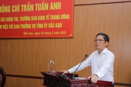 Ông Trần Tuấn Anh phát biểu tại buổi làm việc. (Ảnh: Vũ Hoàng Giang/TTXVN)