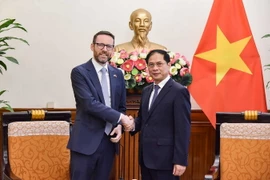 Bộ trưởng Ngoại giao Bùi Thanh Sơn và Đại sứ Liên hiệp Vương quốc Anh và Bắc Ireland tại Việt Nam. (Ảnh: TTXVN phát)