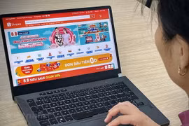 Người tiêu dùng mua hàng qua mạng. (Ảnh minh họa: PV/Vietnam+)