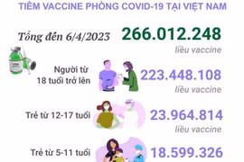 [Infographics] Tình hình tiêm vaccine phòng COVID-19 tại Việt Nam