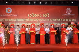 Khách tham quan gian hàng trưng bày vải thiều huyện Lục Ngạn. (Ảnh: Danh Lam/TTXVN)