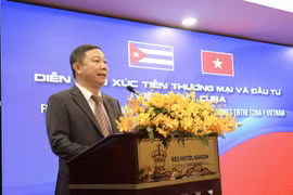 Ông Dương Anh Đức, Phó Chủ tịch UBND TP Hồ Chí Minh, phát biểu tại Diễn đàn. (Ảnh: Xuân Anh/TTXVN)