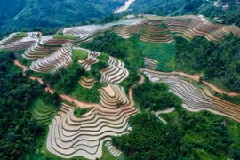 Hà Giang: Những khoanh ruộng bậc thang ăm ắp mùa nước đổ