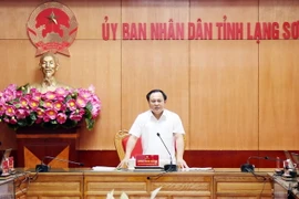 Phó Chủ tịch Ủy ban Nhân dân tỉnh Lạng Sơn Lương Trọng Quỳnh phát biểu chỉ đạo. (Ảnh: Thái Thuần/TTXVN)