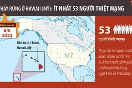 [Infographics] Cháy rừng ở Hawai: Ít nhất 53 người thiệt mạng
