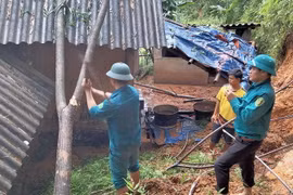 Cán bộ chính quyền địa phương chặt cây, tránh đổ vào nhà dân. (Ảnh: TTXVN phát)