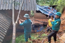 Cán bộ chính quyền địa phương chặt cây, tránh đổ vào nhà dân. (Ảnh: TTXVN phát)