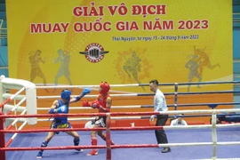 Các vận động viên thi đấu. (Ảnh: Quân Trang/TTXVN)