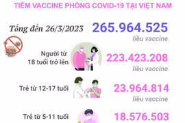 [Infographics] Tình hình tiêm vaccine phòng COVID-19 tại Việt Nam