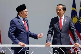 Thủ tướng Malaysia Anwar Ibrahim và Tổng thống Indonesia Joko Widodo. (Nguồn: Reuters)