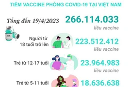 [Infographics] Tình hình tiêm vaccine phòng COVID-19 tại Việt Nam