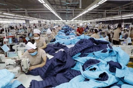 (Ảnh minh họa: Trần Việt/TTXVN)