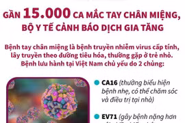 Bộ Y tế cảnh báo dịch gia tăng với gần 15.000 ca mắc tay chân miệng