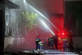 (Ảnh minh họa: Phạm Cường/TTXVN)