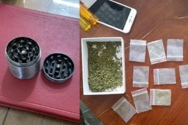 Tang vật phạm tội được thu giữ của các đối tượng. (Ảnh: TTXVN phát)