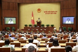 Thống đốc Ngân hàng Nhà nước Việt Nam Nguyễn Thị Hồng trình bày Tờ trình về dự án Luật Các tổ chức Tín dụng-sửa đổi. (Ảnh: Doãn Tấn/TTXVN)