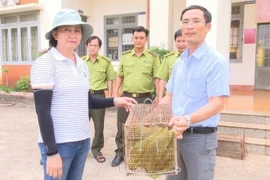 Bà Nguyễn Tuấn Tú, bàn giao 2 cá thể Rái Cá cho Trung tâm cứu hộ, bảo tồn và phát triển sinh vật trực thuộc Ban quản lý Vườn Quốc gia Bù Gia Mập. (Ảnh: TTXVN phát)