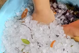 Mưa đá với những viên to khoảng bằng đầu ngón tay tại tỉnh Điện Biên ngày 4/2. (Ảnh: TTXVN phát)