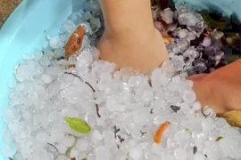 Mưa đá với những viên to khoảng bằng đầu ngón tay tại tỉnh Điện Biên ngày 4/2. (Ảnh: TTXVN phát)