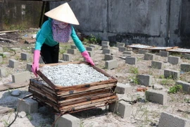 Ngư dân vùng biển huyện Gio Linh, tỉnh Quảng Trị, phơi cá khô. (Ảnh: Nguyên Lý/TTXVN)