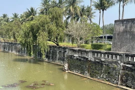 Hệ thống móng kè được xây dựng dở dang. (Ảnh: Thanh Thủy/TTXVN)