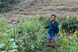 Đối tượng Mùa A Thề ở bản Nậm Đắc, xã Pú Đao, huyện nậm Nhùn, tỉnh Lai Châu, và khu vực lán nương trồng trái phép cây thuốc phiện. (Ảnh: TTXVN phát)