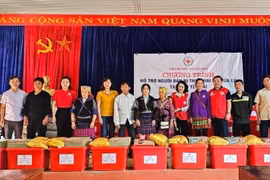 Trao quà hỗ trợ cho các gia đình. (Ảnh: TTXVN phát)
