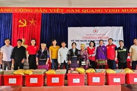 Trao quà hỗ trợ cho các gia đình. (Ảnh: TTXVN phát)