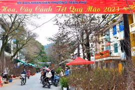 [Photo] Rộn ràng chợ hoa Tết Nguyên đán Quý Mão 2023 ở Hà Giang 