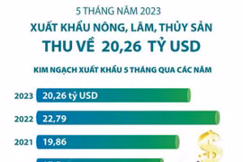 [Infographics] Xuất khẩu nông, lâm, thủy sản thu về 20,26 tỷ USD
