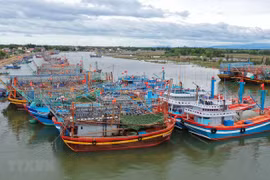 (Ảnh minh họa. Nguồn: TTXVN)