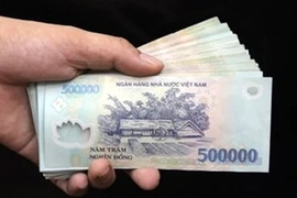 Ảnh minh họa. (Nguồn:TTXVN)