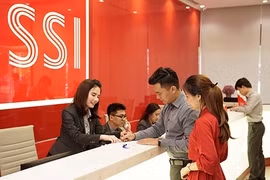 Ảnh minh họa. (Nguồn: SSI)