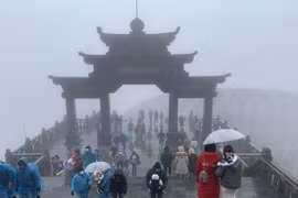 Đông đảo khách du lịch đã lên đỉnh Fansipan để chiêm ngưỡng cảnh tuyết rơi. (Ảnh: Quốc Khánh/TTXVN)