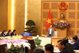 Phó Thủ tướng Trần Lưu Quang phát biểu chỉ đạo tại cuộc họp của Hội đồng. (Ảnh: An Đăng/TTXVN)