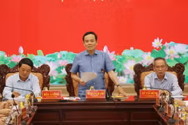 Phó Thủ tướng Chính phủ Trần Lưu Quang phát biểu chỉ đạo tại Hội nghị. (Ảnh: Chanh Đa/TTXVN)