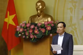 Phó Thủ tướng Trần Lưu Quang. (Ảnh: An Đăng/TTXVN)