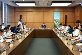 Đoàn đại biểu Quốc hội các tỉnh Bắc Giang, Hà Nam và An Giang thảo luận ở tổ. (Ảnh: Doãn Tấn/TTXVN)