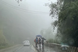 Mưa lớn xảy ra ở nhiều nơi trên cả nước. (Ảnh: Hồng Ngân/Vietnam+)