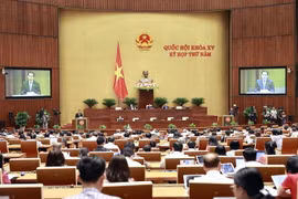 Quang cảnh phiên họp. (Ảnh: Doãn Tấn/TTXVN)